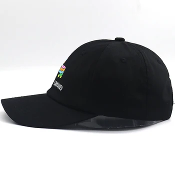 Naujųjų metų dovana mažas spalvingas hourse beisbolo kepuraitę medvilnė, siuvinėjimo hip-hop snapback skrybėlių mados tėtis skrybėlės unisex